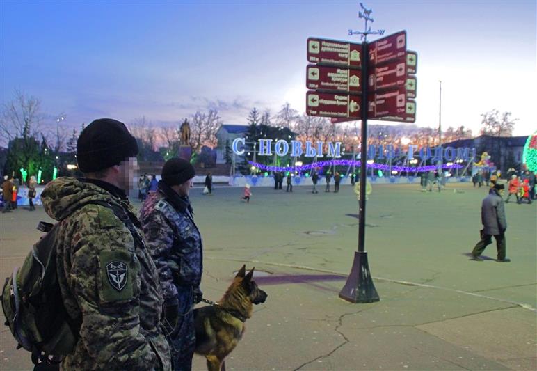 В Мордовии сотрудники Росгвардии продолжают выполнять задачи по обеспечению безопасности новогодних праздников