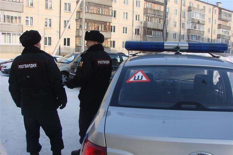 В Республике Марий Эл сотрудники Росгвардии задержали серийного вора