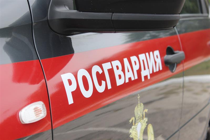 В Ульяновской области задержаны двое подозреваемых в незаконном хранении наркотиков 