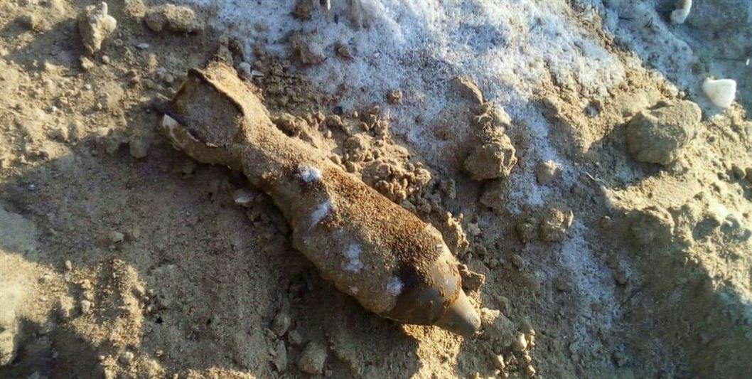 Вблизи Сестрорецка взрывотехники ОМОН обследовали мину времён Великой Отечественной войны