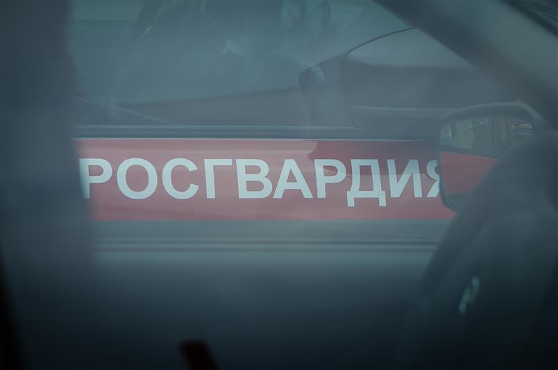 В Ульяновске сотрудники Росгвардии задержали мужчину с взрывоопасным предметом и граждан, подозреваемых в краже железнодорожных рельс