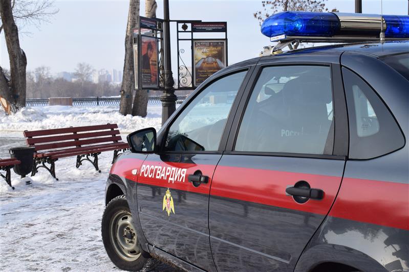 На Южном Урале при содействии Росгвардии задержаны подозреваемые в поджоге автомобиля