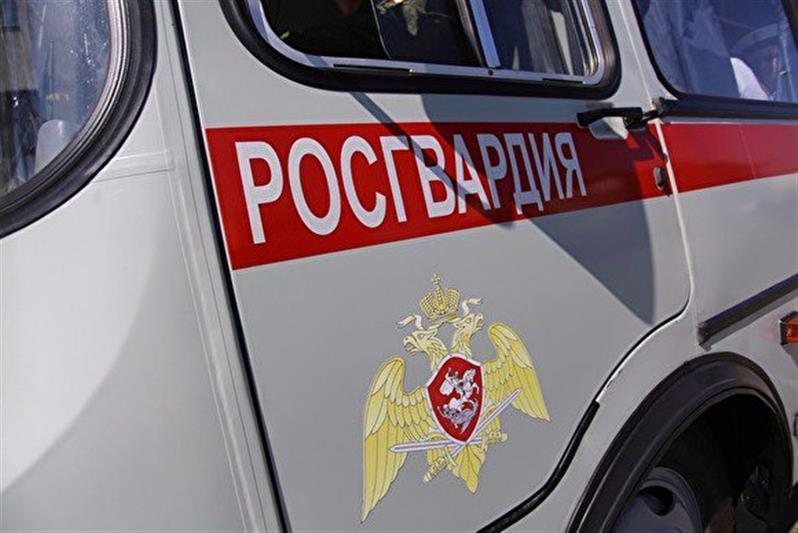 В Ленобласти сотрудники Росгвардии задержали мужчину, совершившего разбойное нападение
