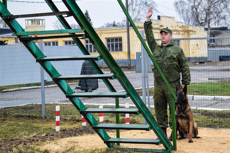 В г. Казани прошли соревнования по многоборью со служебными собаками