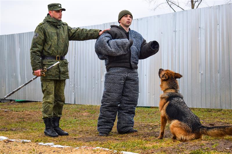 В г. Казани прошли соревнования по многоборью со служебными собаками