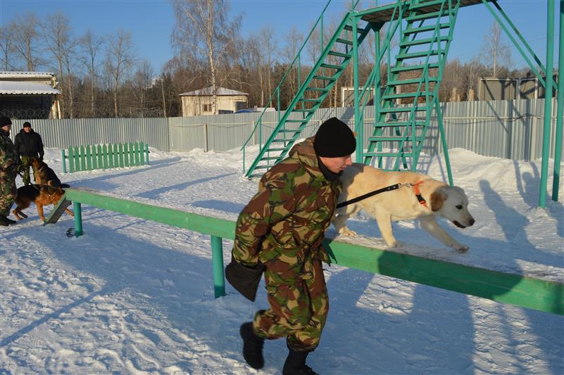 Состоялся первый выпуск специалистов-кинологов ОМОН, прошедших подготовку в учебных центрах Росгвардии