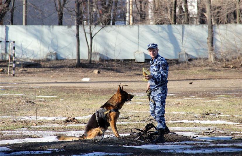 Сотрудники воронежского ОМОН провели открытый урок в кадетском корпусе