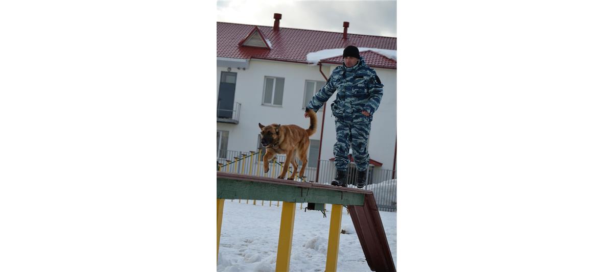Состоялся первый выпуск специалистов-кинологов ОМОН, прошедших подготовку в учебных центрах Росгвардии