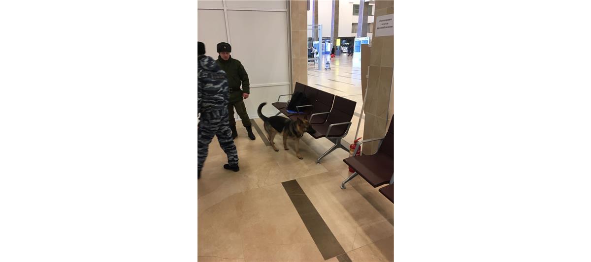 Росгвардия усилила меры безопасности в местах проведения конференций и экспозиций Красноярского экономического форума