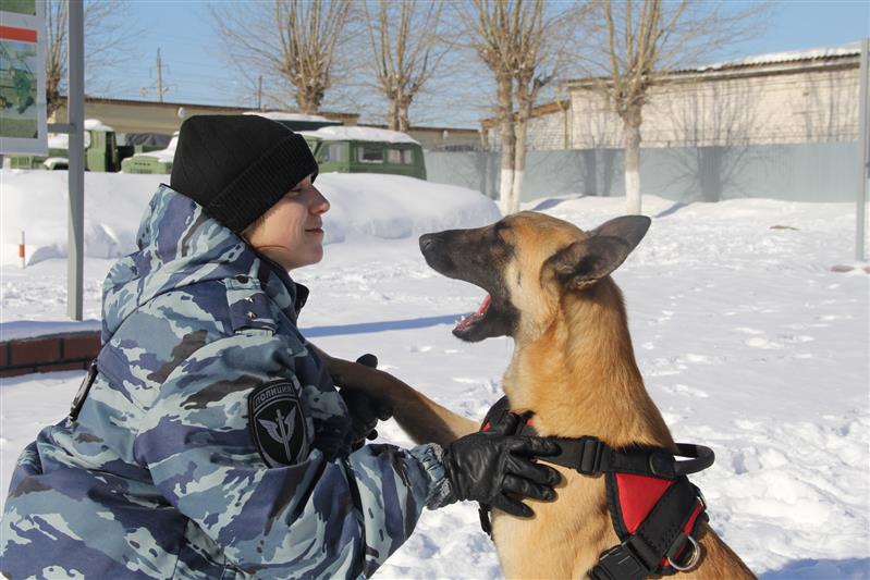 В Тюмени завершился курс подготовки кинологов ОМОН Росгвардии