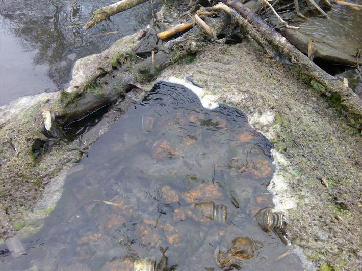 Взрывотехники ОМОН уничтожили боеприпасы, обнаруженные в селе Поповка Саратовской области