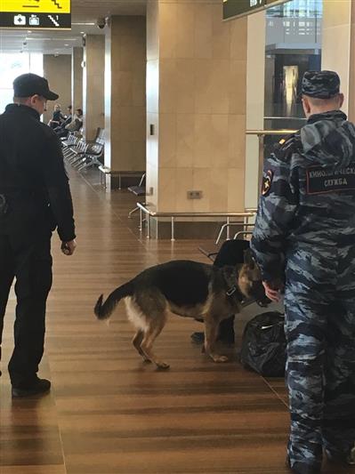 Росгвардия усилила меры безопасности в местах проведения конференций и экспозиций Красноярского экономического форума