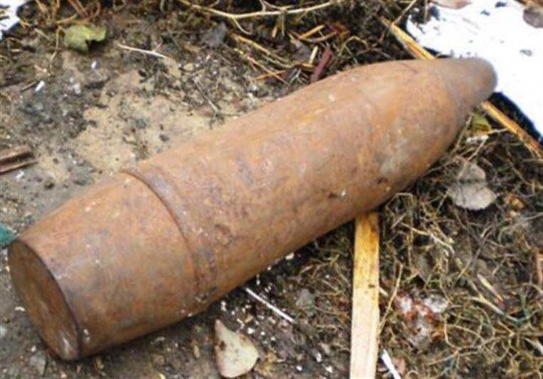 В Ленобласти сотрудники ОМОН Росгвардии обследовали боеприпас времен войны