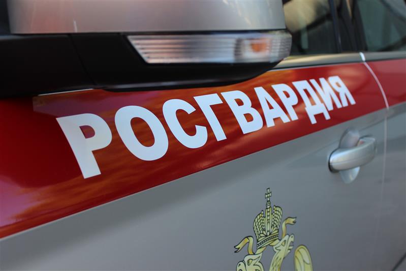 В Перми сотрудники Росгвардии потушили загоревшийся автомобиль