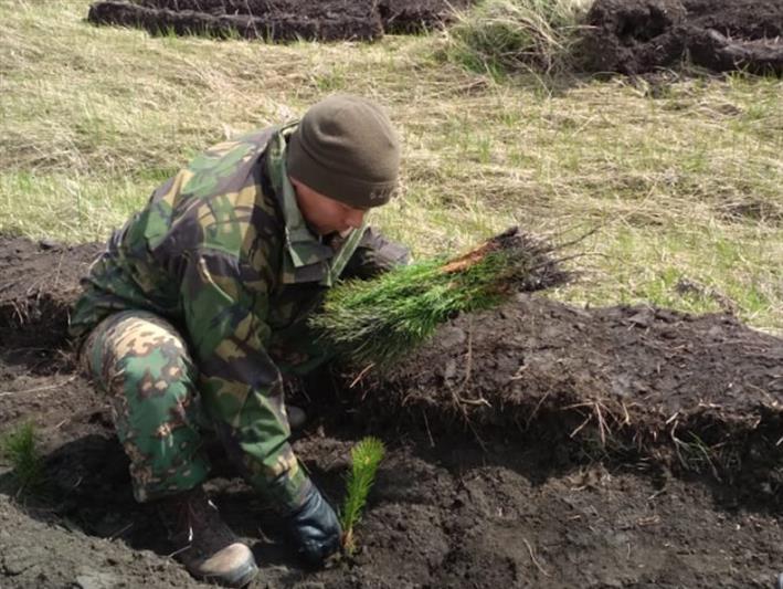 В Кемерове бойцы спецподразделения Росгвардии приняли участие во Всероссийской экологической акции