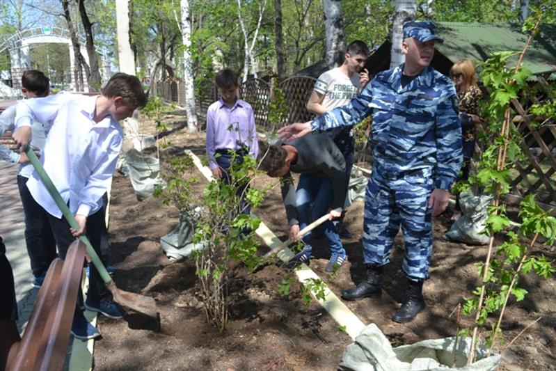 В Еврейской автономной области появилась новая аллея в честь бойцов ОМОН