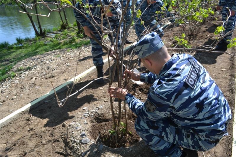 В Еврейской автономной области появилась новая аллея в честь бойцов ОМОН