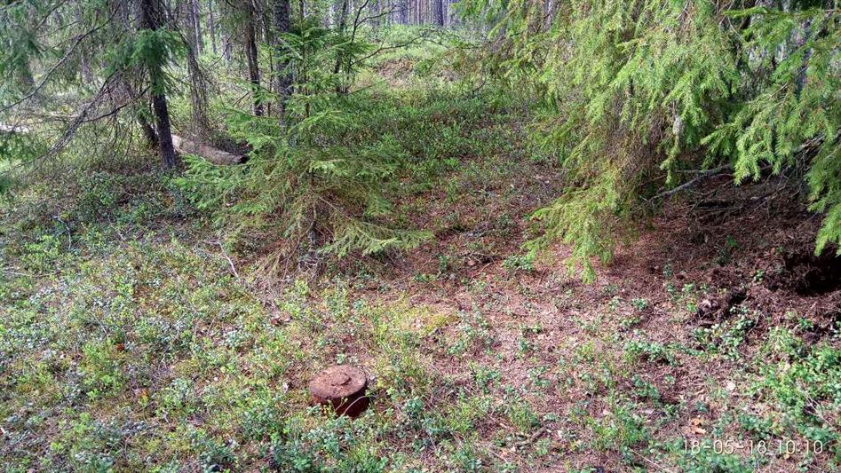 Карельские омоновцы уничтожили снаряд времен Великой Отечественной войны