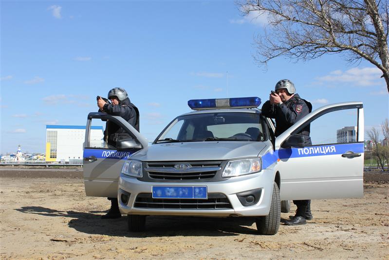 В Московской области сотрудники вневедомственной охраны задержали и передали полиции ряд правонарушителей