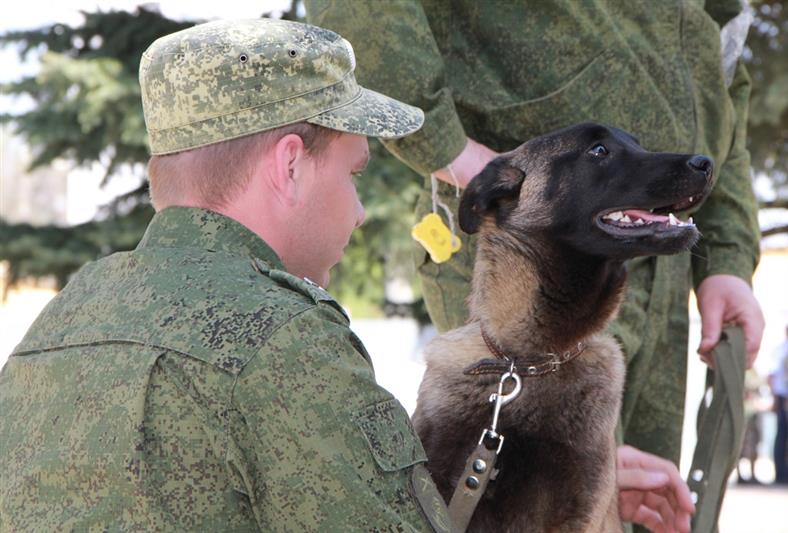 В канун Дня Победы на базе спецподразделений Управления Росгвардии по Саратовской области состоялся День открытых дверей для школьников 