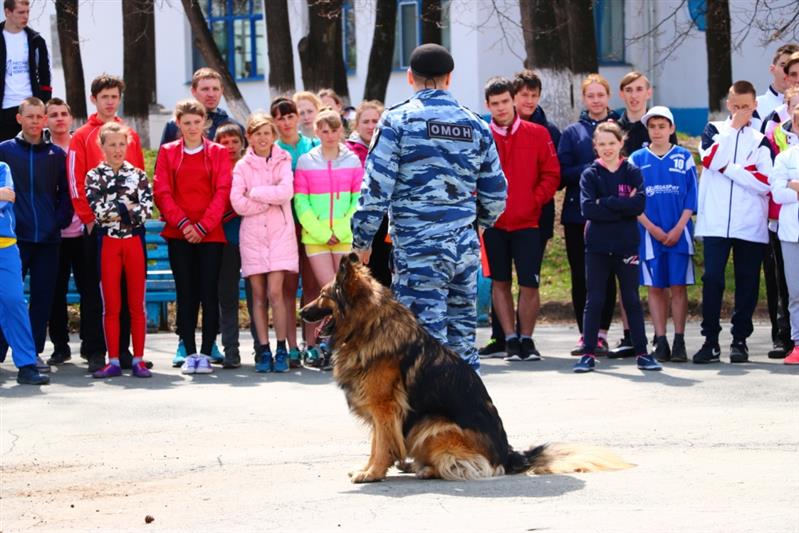 Четвероногие помощники ОМОН порадовали воспитанников уральских детских домов