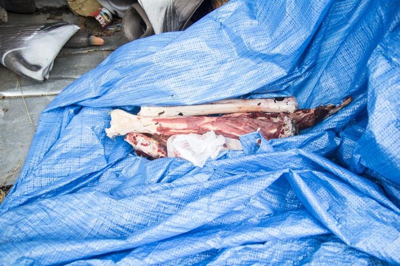 Сотрудники Росгвардии совместно с инспекторами Минприроды Якутии выявили на территории республики ряд нарушений правил охоты