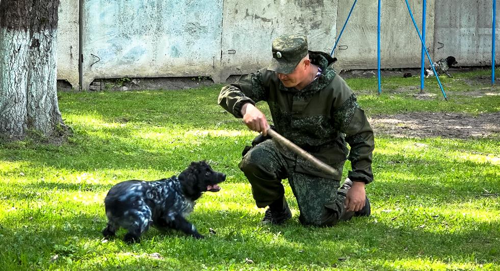 Кинологи Росгвардии из Заречного отметили профессиональный праздник показательными выступлениями