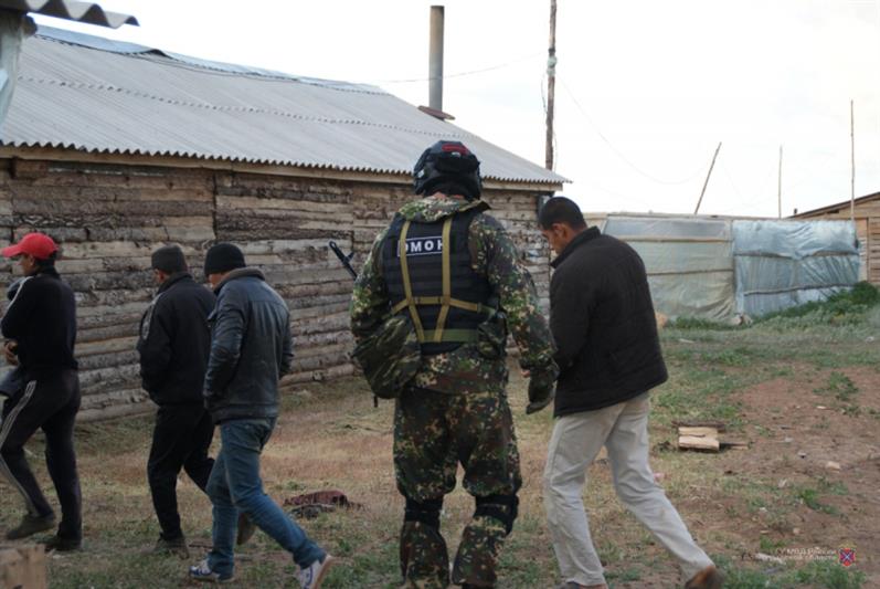 При силовой поддержке волгоградского ОМОН проведен масштабный миграционный рейд