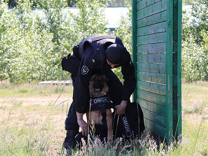 Юные забайкальские журналисты побывали в гостях у кинологов Росгвардии