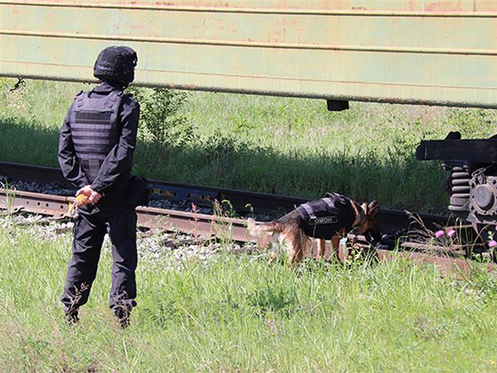 Юные забайкальские журналисты побывали в гостях у кинологов Росгвардии