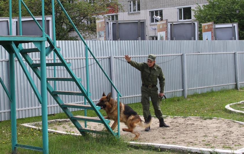 В Уральском округе войск национальной гвардии отметили 109 годовщину со дня образования кинологической службы России 