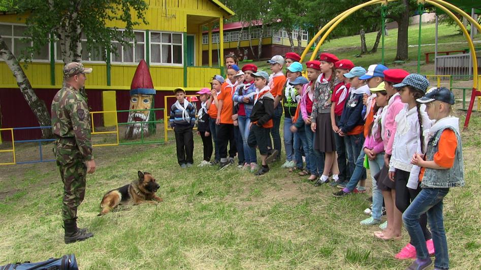 В Саратове выступлением кинолога ОМОН была открыта очередная смена детского лагеря «Дружба» 