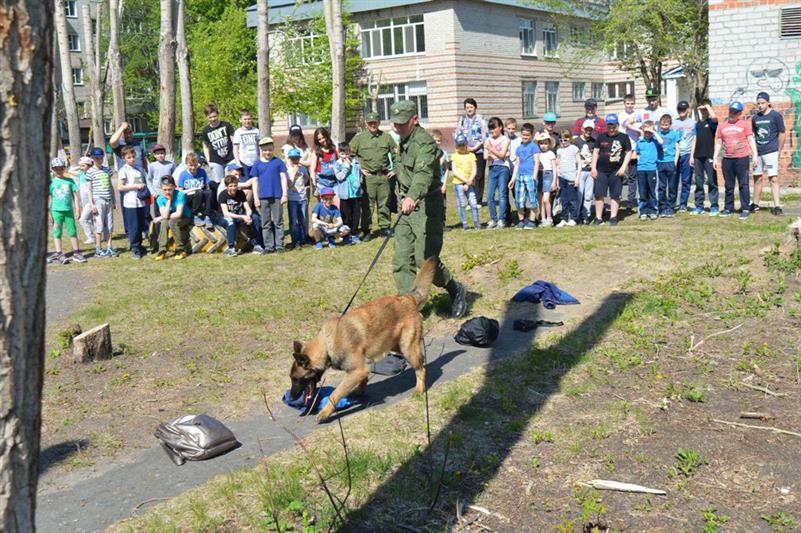 Четвероногие помощники росгвардейцев удивили тюменских школьников 