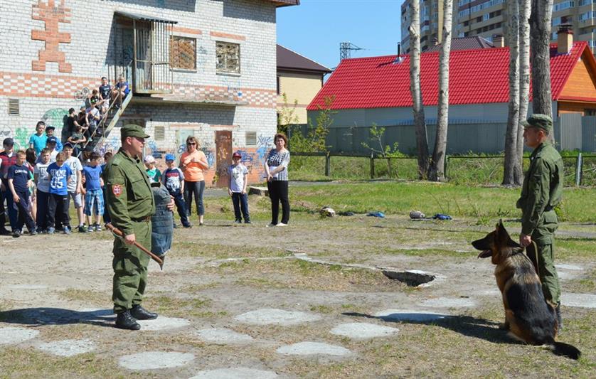 Четвероногие помощники росгвардейцев удивили тюменских школьников 