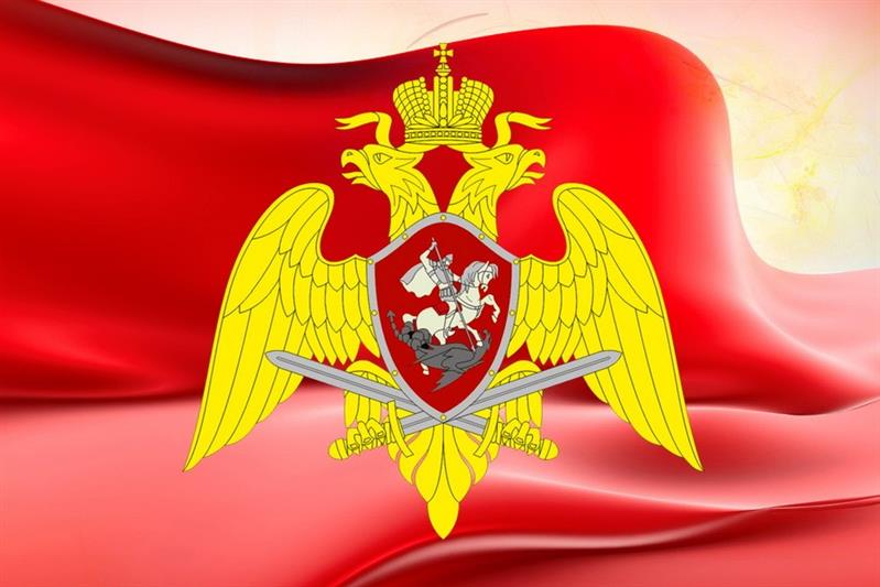 В Архангельской области росгвардейцы нашли пропавшую женщину