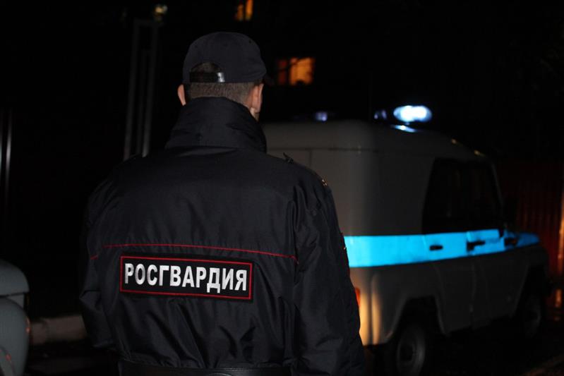 В Санкт-Петербурге патрульный наряд вневедомственной охраны нашел пропавшего ребенка