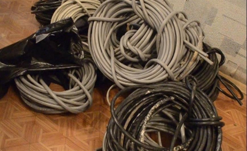 В Санкт-Петербурге сотрудники Росгвардии задержали семерых граждан, пытавшихся похитить телефонный кабель