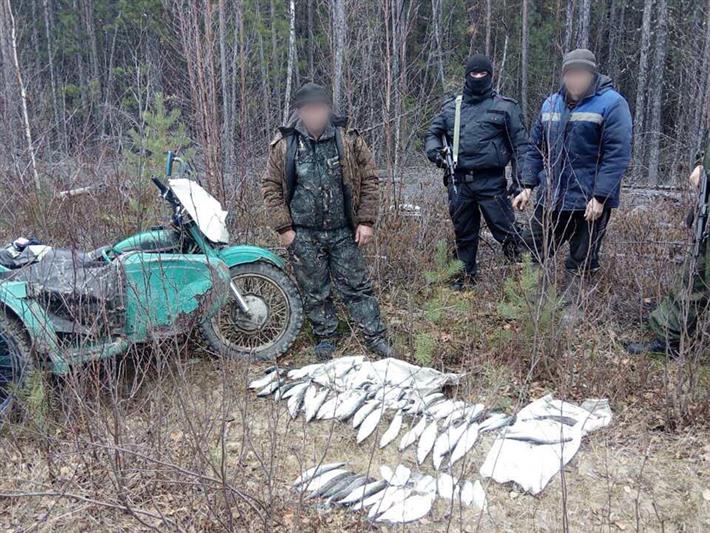 В Бурятии пресечено более десяти фактов браконьерства и изъято около 200 кг незаконно добытой нерестовой рыбы 