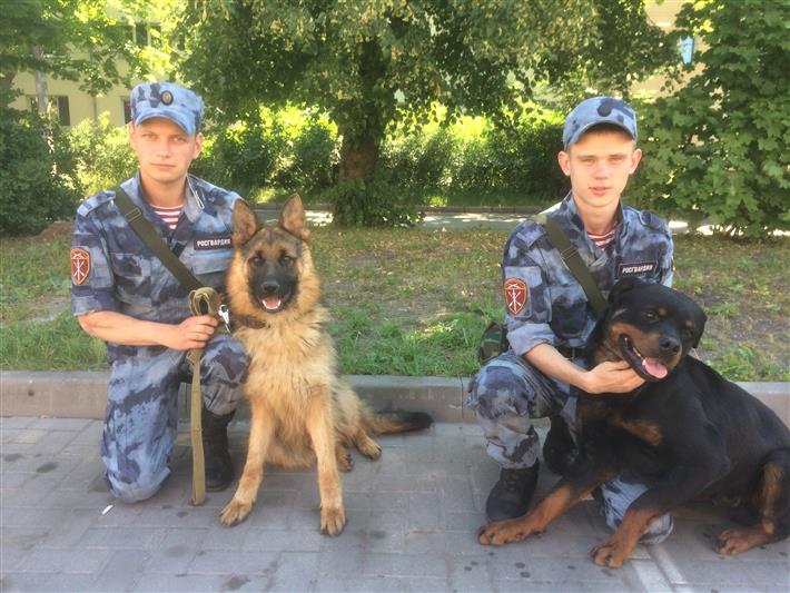 Военнослужащих Росгвардии, спасших жизнь калининградцу на прошлой неделе, представят к награде