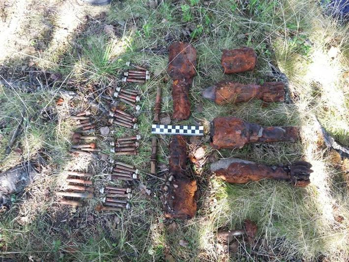 В Карелии бойцами ОМОН обследован и уничтожен арсенал боеприпасов времен Великой Отечественной войны