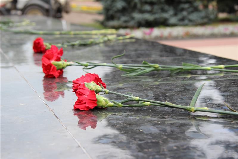 В Курске прошел автопробег Росгвардии «Огненной дуге – 75 лет» (фото, видео)