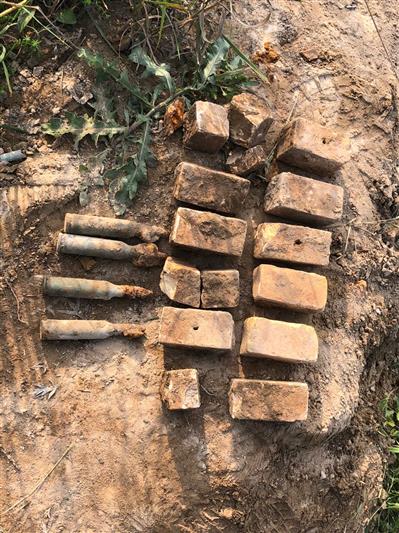 В Ленинградской области сотрудники ОМОН обследовали и уничтожили неразорвавшиеся боеприпасы времен войны