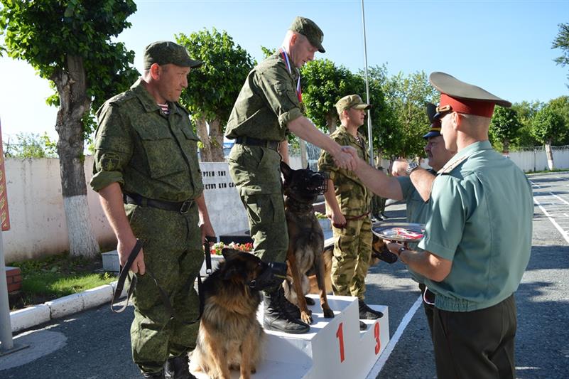 В Тюмени определились лучшие кинологи Уральского округа Росгвардии (фото, видео)