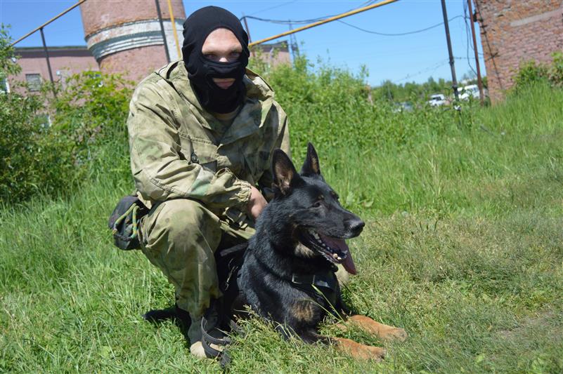 Сотрудник орловского ОМОН Росгвардии и его овчарка стали призёрами межрегиональных соревнований кинологов памяти  капитана милиции Михаила Гордеева 