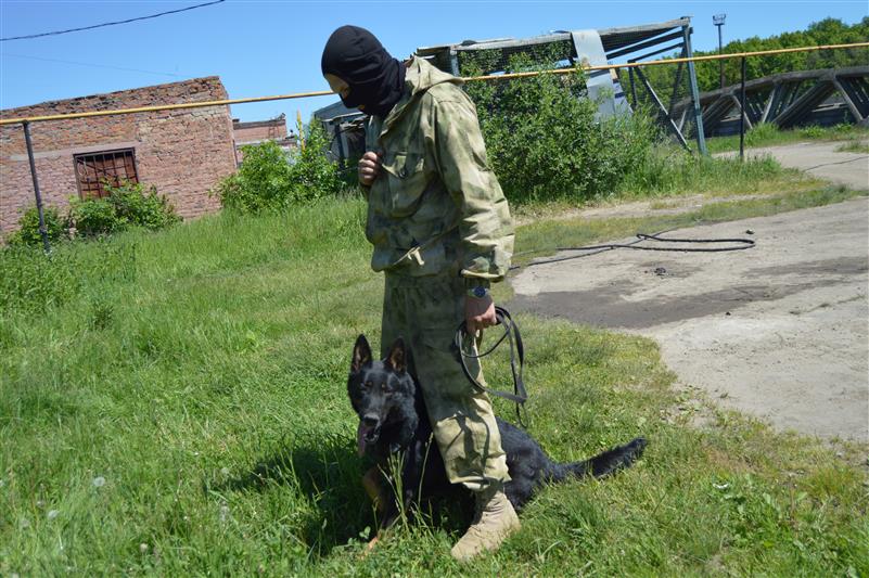 Сотрудник орловского ОМОН Росгвардии и его овчарка стали призёрами межрегиональных соревнований кинологов памяти  капитана милиции Михаила Гордеева 