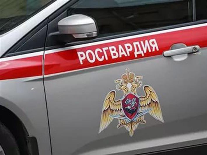 Камчатские росгвардейцы задержали насильника