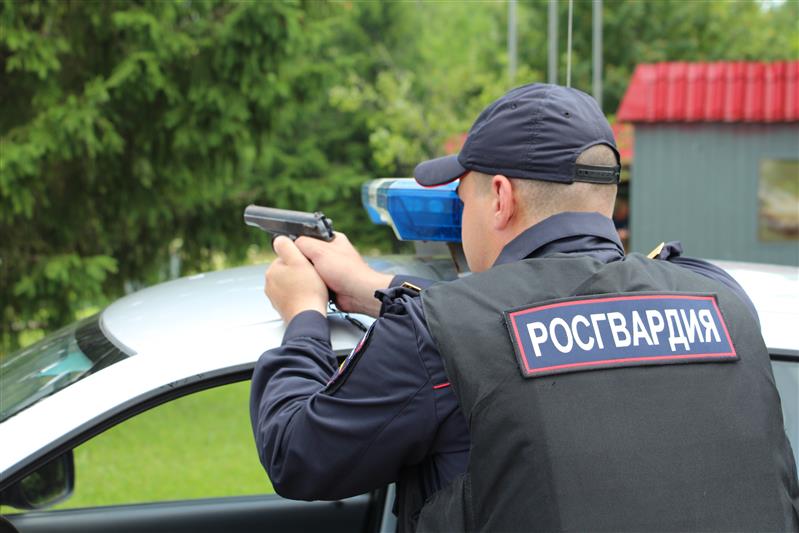Сотрудники Росгвардии в Рыбинске, Смоленске и Подольске задержали подозреваемых в кражах