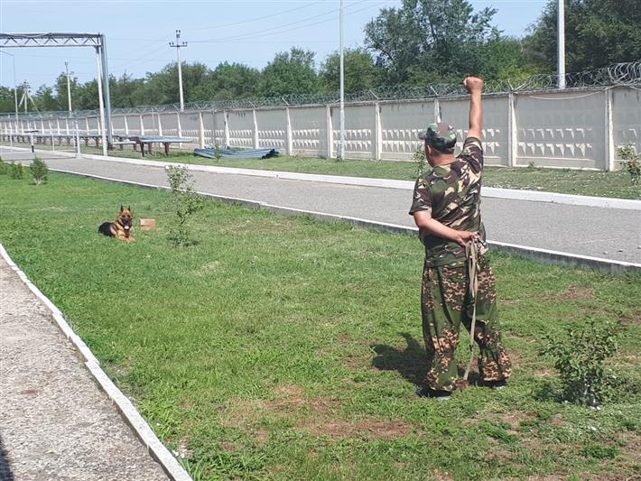 Завершился чемпионат Северо-Кавказского округа Росгвардии по многоборью кинологов