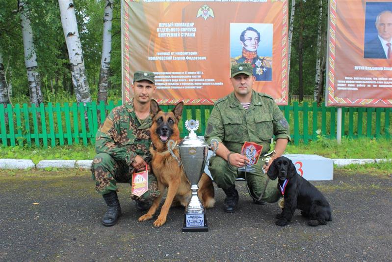 В Перми завершился чемпионат Приволжского округа Росгвардии по многоборью со служебными собаками