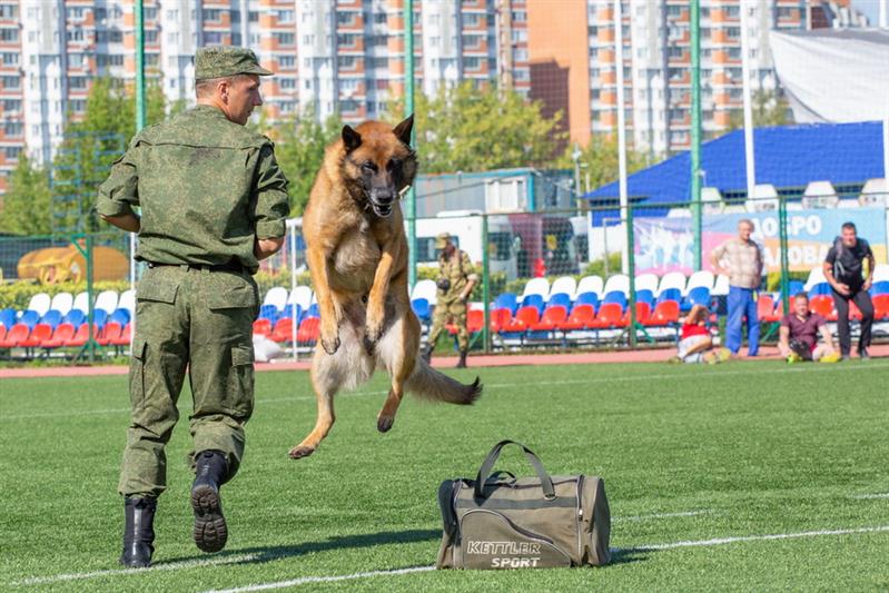 «День физкультурника» в Росгвардии